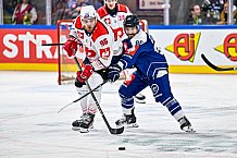 Eishockey, Men, CHL, Champions Hockey League, Regular Saison 2024-25, Game Day 4, Straubing Tigers - Dynamo Pardubice, 15.09.2024