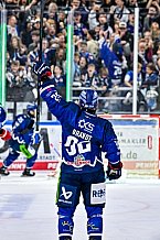 Eishockey, Men, DEL, Penny DEL, Hauptrunde Saison 2024-25, 1. Spieltag, Straubing Tigers - Düsseldorfer EG, 20.09.2024