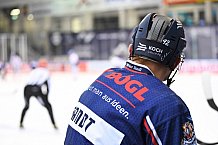 Straubing Tigers - Augsburger Panther