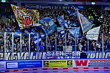 Eishockey, Herren, Penny DEL, Playoffs, Viertelfinale, Spiel 5, Saison 2023-2024, Straubing Tigers - Schwenninger Wild Wings,26.03.2024