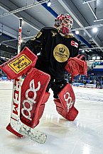 Eishockey, Herren, Penny DEL, DEL, Saison 2022-2023, Hauptrunde, Straubing Tigers - Kölner Haie, 29. Spieltag, 11.12.2022