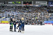 Eishockey, Herren, Penny DEL, 52. Spieltag, Saison 2023-2024, Straubing Tigers - Grizzlys Wolfsburg,08.03.2024