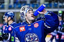 Eishockey, Herren, CHL, Champions Hockey League, Saison 2022-2023, Achtelfinale, Straubing Tigers - Frölunda HC Göteborg, Rückspiel, 22.11.2022