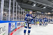 Eishockey, Herren, Penny DEL, 8. Spieltag, Saison 2023-2024, Straubing Tigers - ERC Ingolstadt,06.10.2023