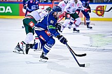 Eishockey, Herren, CHL, Champions Hockey League, Saison 2022-2023, Achtelfinale, Straubing Tigers - Frölunda HC Göteborg, Rückspiel, 22.11.2022