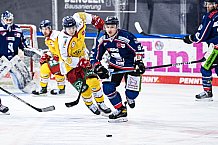 Eishockey, Herren, DEL, Saison 2020-2021, Straubing Tigers - Düsseldorfer EG, 04.04.2021