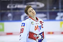 Eishockey, Herren, DEL, Saison 20202021, Straubing Tigers - Adler Mannheim, 22.01.2021