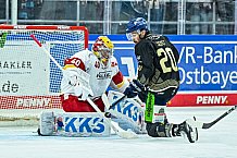 Eishockey, Herren, Penny DEL, 12. Spieltag, Saison 2023-2024, Straubing Tigers - Duesseldorfer EG,20.10.2023
