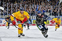 Eishockey, Herren, Penny DEL, 20. Spieltag, Saison 2023-2024, Straubing Tigers - Duesseldorfer EG,19.11.2023
