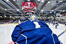 Eishockey, Men, CHL, Champions Hockey League, Regular Saison 2024-25, Game Day 4, Straubing Tigers - Dynamo Pardubice, 15.09.2024