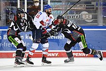 Eishockey, Herren, DEL, Saison 2020-2021, Straubing Tigers - Adler Mannheim, 06.03.2021