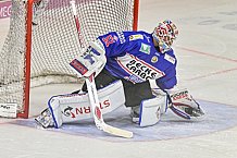 Herren, Eishockey, Oberliga-Sued, Saison 2023-2024, DEB, Deggendorfer SC - Bayreuth Tigers, 1. Spieltag, 28.09.2023