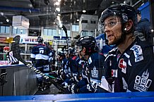 Eishockey, Herren, DEL, Saison 2021-2022, 07.11.2021