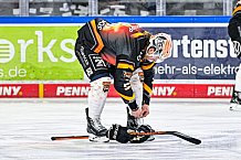 Eishockey, Herren, Penny DEL, 24. Spieltag, Saison 2023-2024, Straubing Tigers - Grizzlys Wolfsburg,03.12.2023