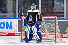 Eishockey, Herren, DEL, Penny DEL, Saison 2023-2024, Straubing Tigers, 04.08.2023