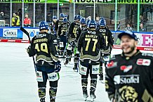 Eishockey, Herren, Penny DEL, 16. Spieltag, Saison 2023-2024, Straubing Tigers - Schwenninger Wild Wings,31.10.2023