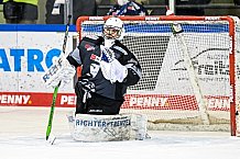 Eishockey, Herren, DEL, Saison 2021-2022, 49. Spieltag, Straubing Tigers - EHC Red Bull München,  27.02.2022