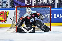 Eishockey, Men, CHL, Champions Hockey League, Regular Saison 2024-25, Game Day 1, Straubing Tigers - SonderjyskE Vojens, 06.09.2024