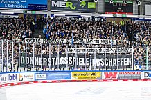 Eishockey, Men, DEL, Penny DEL, Hauptrunde Saison 2024-25, 4. Spieltag, Straubing Tigers - EHC Red Bull München, 29.09.2024