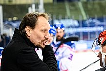 Eishockey, Herren, DEL, Saison 2021-2022, 44. Spieltag, Straubing Tigers - Adler Mannheim,  19.01.2022