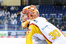 Eishockey, Herren, DEL, Saison 2020-2021, Straubing Tigers - Düsseldorfer EG, 04.04.2021