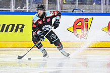 Eishockey, Men, CHL, Champions Hockey League, Regular Saison 2024-25, Game Day 1, Straubing Tigers - SonderjyskE Vojens, 06.09.2024