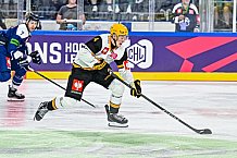 Eishockey, Men, CHL, Champions Hockey League, Regular Saison 2024-25, Game Day 2, Straubing Tigers - Skelleftea AIK, 08.09.2024