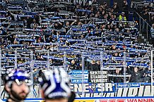 Eishockey, Men, DEL, Penny DEL, Hauptrunde Saison 2024-25, 5. Spieltag, Straubing Tigers - Eisbären Berlin, 01.10.2024