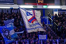 Eishockey, Men, CHL, Champions Hockey League, Regular Saison 2024-25, Game Day 4, Straubing Tigers - Dynamo Pardubice, 15.09.2024