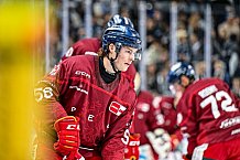 Eishockey, Men, DEL, Penny DEL, Hauptrunde Saison 2024-25, 1. Spieltag, Straubing Tigers - Düsseldorfer EG, 20.09.2024