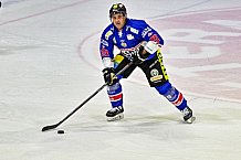 Herren, Eishockey, Oberliga-Sued, Saison 2023-2024, DEB, Deggendorfer SC - Bayreuth Tigers, 1. Spieltag, 28.09.2023
