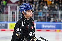 Eishockey, Herren, Penny DEL, 22. Spieltag, Saison 2023-2024, Straubing Tigers - Fischtown Pinguins Bremerhaven,26.11.2023