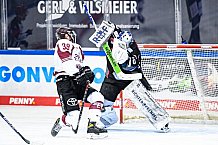 Eishockey, Herren, DEL, Saison 2020-2021, Straubing Tigers - Kölner Haie, 11.04.2021