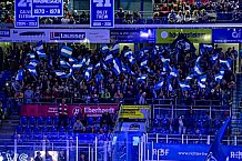 Eishockey, Herren, Penny DEL, 5. Spieltag, Saison 2023-2024, Straubing Tigers - EHC Red Bull Muenchen,29.09.2023