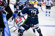 Eishockey, Herren, DEL, Saison 2021-2022, Straubing Tigers - Adler Mannheim, 10.09.2021