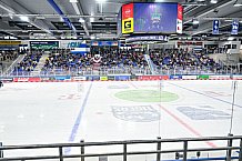 Eishockey, Herren, DEL, Penny DEL, Saison 2023-2024, Straubing Tigers, öffentliches Eistraining,06.08.2023