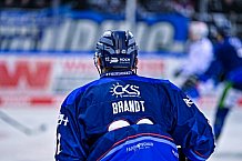 Eishockey, Herren, DEL, Saison 2022-2023, Hauptrunde, Straubing Tigers - Schwenninger Wild Wings, 15. Spieltag, 25.10.2022