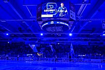Eishockey, Herren, Penny DEL, 8. Spieltag, Saison 2023-2024, Straubing Tigers - ERC Ingolstadt,06.10.2023