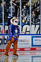 Eishockey, Herren, Penny DEL, DEL, Saison 2022-2023, Hauptrunde, Straubing Tigers - Kölner Haie, 29. Spieltag, 11.12.2022