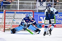 Eishockey, Herren, DEL, Penny DEL, Saison 2023-2024, Straubing Tigers, öffentliches Eistraining,06.08.2023