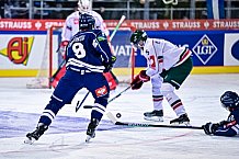 Eishockey, Herren, CHL, Champions Hockey League, Saison 2022-2023, Achtelfinale, Straubing Tigers - Frölunda HC Göteborg, Rückspiel, 22.11.2022