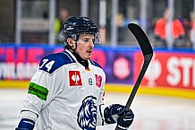 Eishockey, Men, CHL, Champions Hockey League, Regular Saison 2024-25, Game Day 1, Straubing Tigers - SonderjyskE Vojens, 06.09.2024