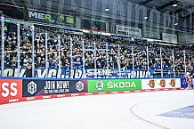 Eishockey, Herren, CHL, Champions Hockey League, Saison 2022-2023, Achtelfinale, Straubing Tigers - Frölunda HC Göteborg, Rückspiel, 22.11.2022