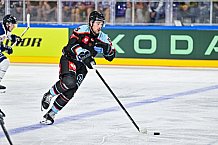 Eishockey, Men, CHL, Champions Hockey League, Regular Saison 2024-25, Game Day 1, Straubing Tigers - SonderjyskE Vojens, 06.09.2024