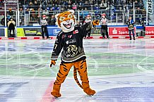 Eishockey, Herren, Penny DEL, 20. Spieltag, Saison 2023-2024, Straubing Tigers - Duesseldorfer EG,19.11.2023