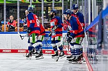 Eishockey, Herren, Penny DEL, 29. Spieltag, Saison 2023-2024, Straubing Tigers - Schwenninger Wild Wings,21.12.2023