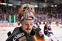 Eishockey, Herren, Penny DEL, DEL, Saison 2022-2023, Playoffs, Viertelfinale, Spiel 5, Straubing Tigers - Grizzlys Wolfsburg, 24.03.2023