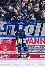 Eishockey, Herren, Penny DEL, Playoffs, Halbfinale, Spiel 2, Saison 2023-2024, Straubing Tigers - Eisbären Berlin, n03.04.2024
