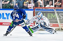 Eishockey, Herren, Penny DEL, Saison 2024-2024, Showtraining, 24.08.2024