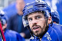 Eishockey, Herren, DEL, Penny DEL, Vorbereitung, Gäubodencup 2023, Saison 2023-2024, Straubing Tigers - Nürnberg Ice Tigers,18.08.2023